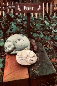 Atelier_Ammerland_tábla_sign_schild_pagony (1).JPEG