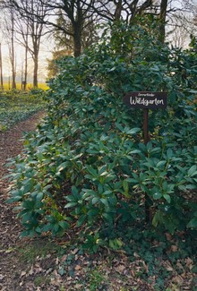 Atelier_Ammerland_tábla_sign_schild_pagony (11).JPEG