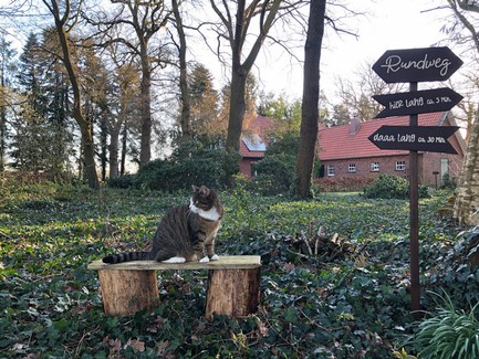 Atelier_Ammerland_tábla_sign_schild_pagony (4).jpg